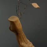 Cut Down, Yet Sprouting