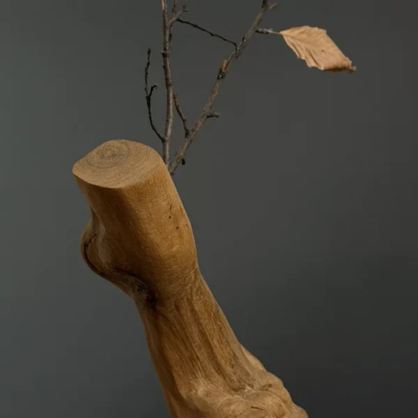 Cut Down, Yet Sprouting