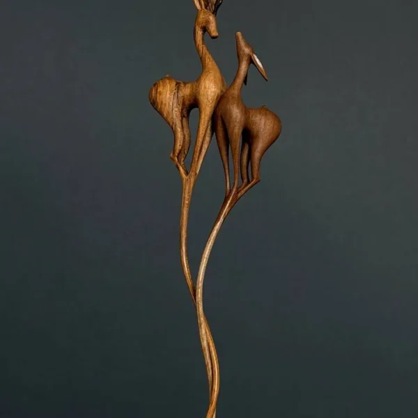 The Dance of Gazelles