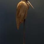 Crane