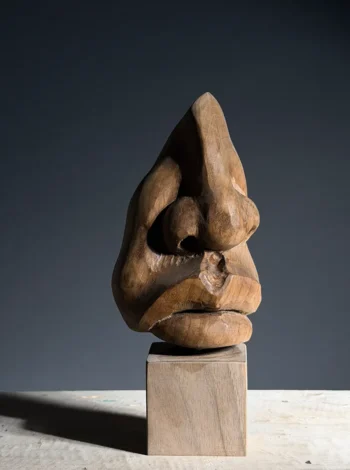 Part of the Face