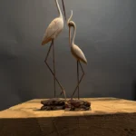 Stork