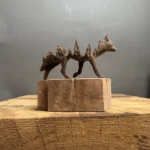 Wolf and Forest